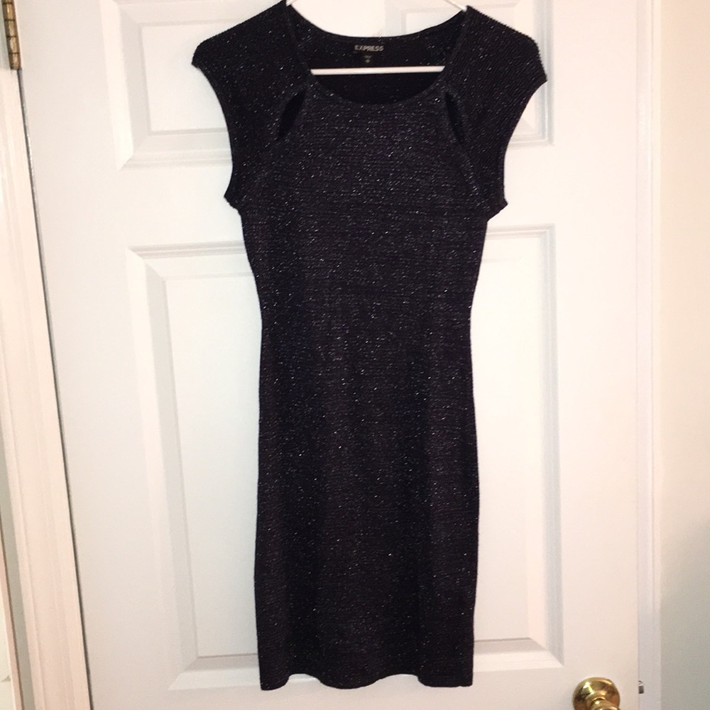 Express bodycon dress